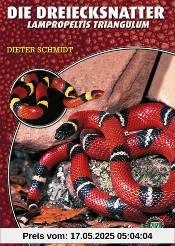 Die Dreiecksnatter: Lampropeltis triangulum