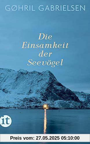 Die Einsamkeit der Seevögel: Roman (insel taschenbuch)
