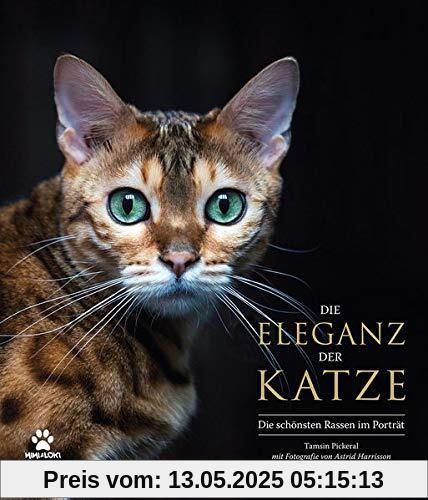 Die Eleganz der Katze: Die schönsten Rassen im Porträt