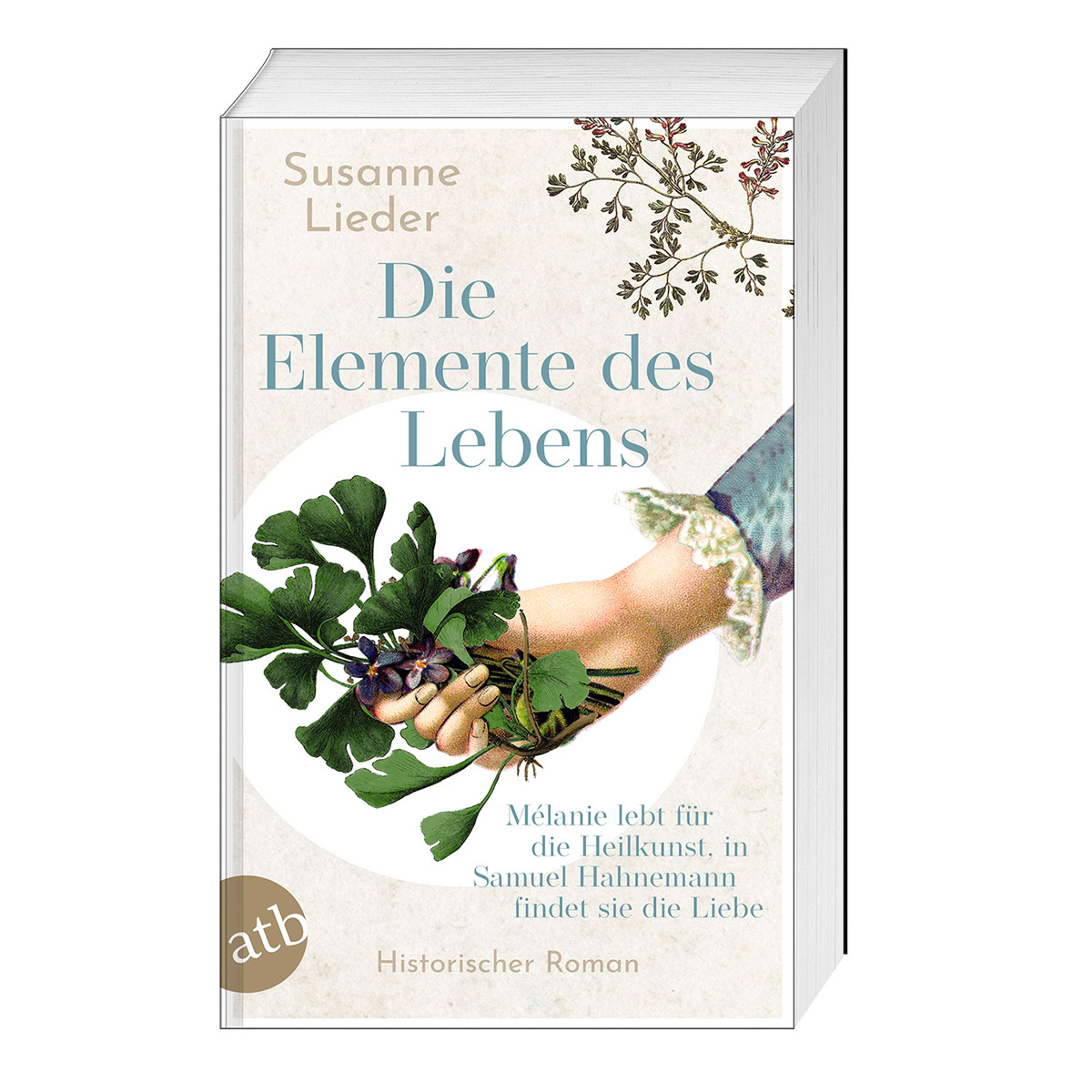 Die Elemente des Lebens Die Elemente des Lebens von Aufbau Taschenbuch Verlag