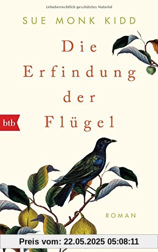 Die Erfindung der Flügel: Roman