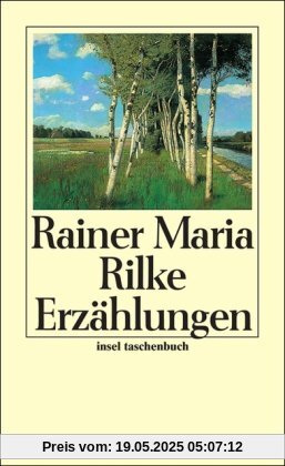 Die Erzählungen (insel taschenbuch)