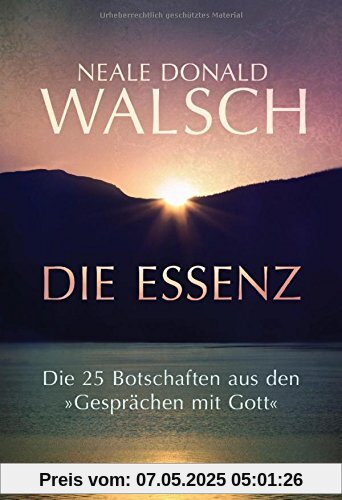 Die Essenz: Die 25 Botschaften aus den Gesprächen mit Gott