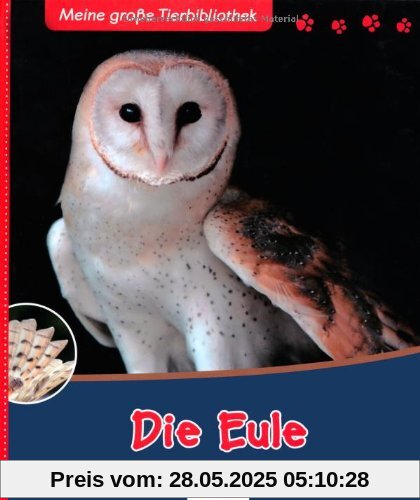 Die Eule