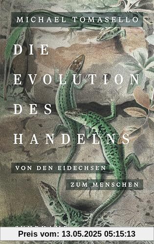 Die Evolution des Handelns: Von den Eidechsen zum Menschen | Ein neues Standardwerk der Evolutionspsychologie Die Evolution des Handelns: Von den Eidechsen zum Menschen | Ein neues Standardwerk der Evolutionspsychologie