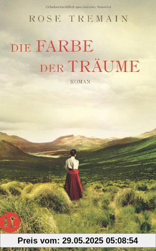Die Farbe der Träume: Roman (insel taschenbuch)