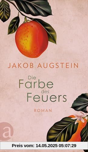 Die Farbe des Feuers: Roman