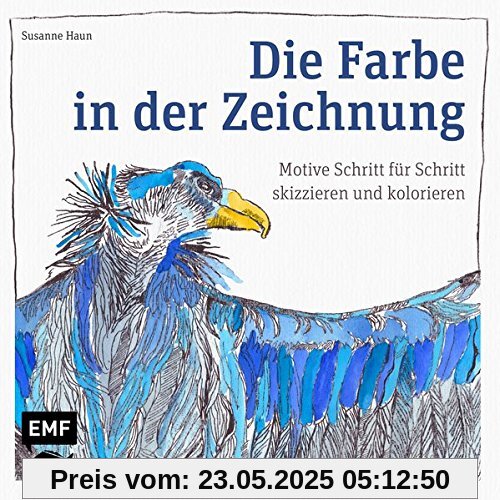 Die Farbe in der Zeichnung: Motive Schritt für Schritt skizzieren und kolorieren