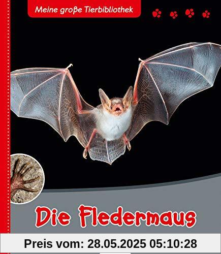Die Fledermaus (Meine große Tierbibliothek)