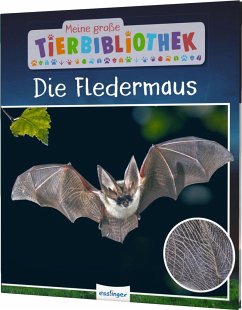 Die Fledermaus / Meine große Tierbibliothek Bd.8 von Esslinger in der Thienemann-Esslinger Verlag GmbH