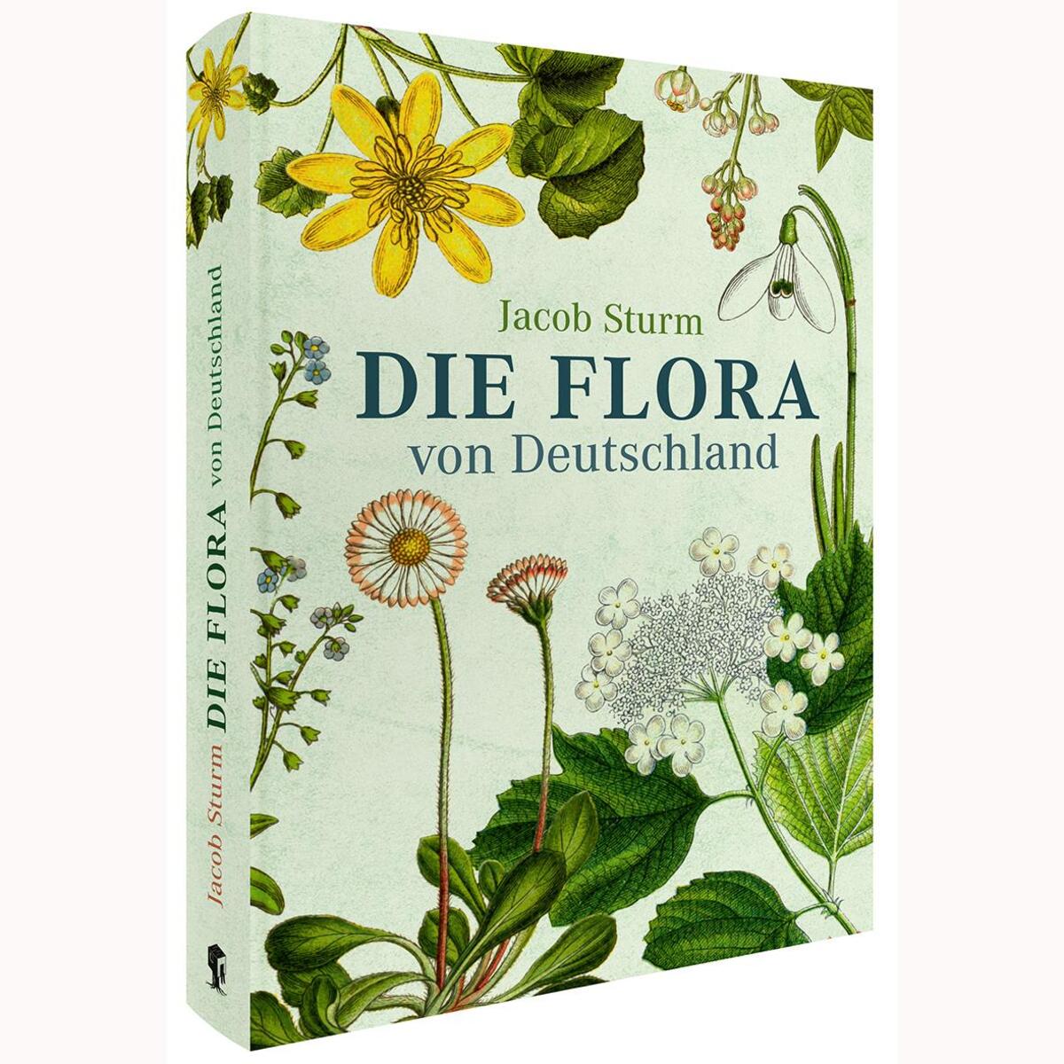 Die Flora von Deutschland von Jacob Sturm (Jubiläumsausgabe) von Favoritenpresse
