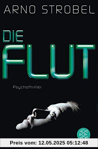 Die Flut: Psychothriller