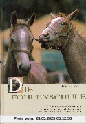 Die Fohlenschule
