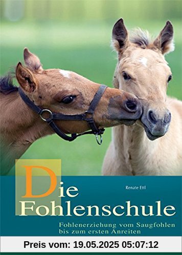 Die Fohlenschule: Fohlenerziehung vom Saugfohlen bis zum ersten Anreiten (Cadmos Pferdebuch)