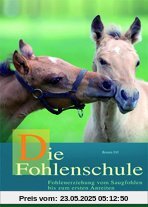 Die Fohlenschule: Fohlenerziehung vom Saugfohlen bis zum ersten Anreiten