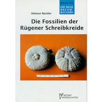 Die Fossilien der Rügener Schreibkreide