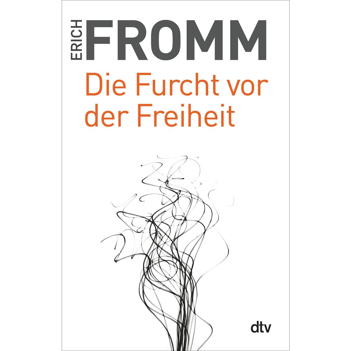 Die Furcht vor der Freiheit von dtv Verlagsgesellschaft