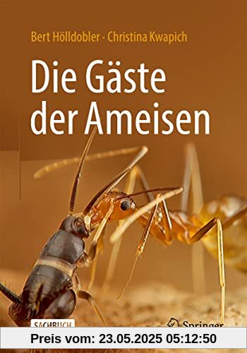 Die Gäste der Ameisen: Wie Myrmecophile mit ihren Wirten interagieren