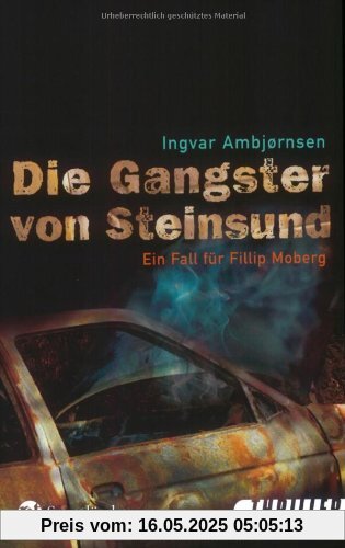 Die Gangster von Steinsund: Ein Fall für Fillip Moberg