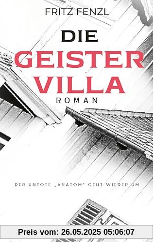 Die Geistervilla: Roman