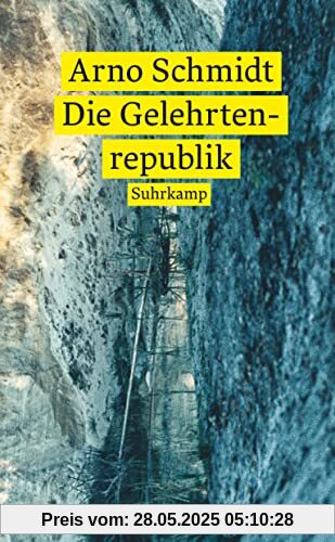 Die Gelehrtenrepublik: Roman (suhrkamp taschenbuch)