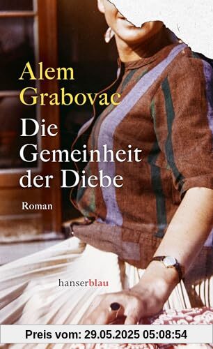 Die Gemeinheit der Diebe: Roman