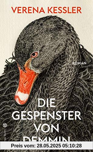 Die Gespenster von Demmin