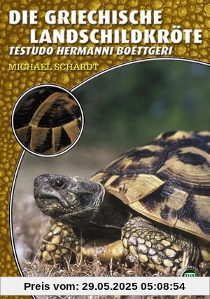 Die Griechische Landschildkröte