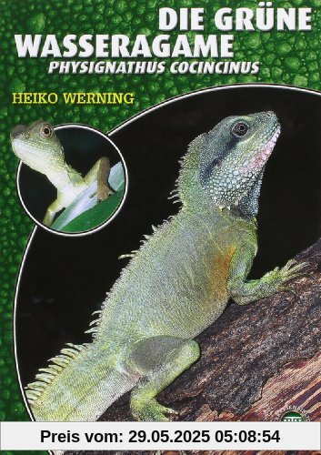 Die Grüne Wasseragame: Physignathus cocincinus Die Grüne Wasseragame: Physignathus cocincinus