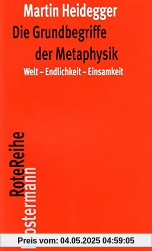 Die Grundbegriffe der Metaphysik: Welt - Endlichkeit - Einsamkeit (Klostermann RoteReihe)
