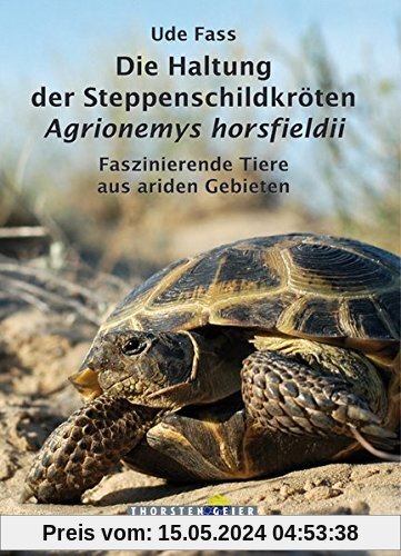 Die Haltung der Steppenschildkröten Agrionemys horsfieldii: Faszinierende Tiere aus ariden Gebieten