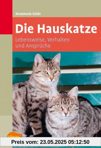 Die Hauskatze: Lebensweise, Verhalten und Ansprüche