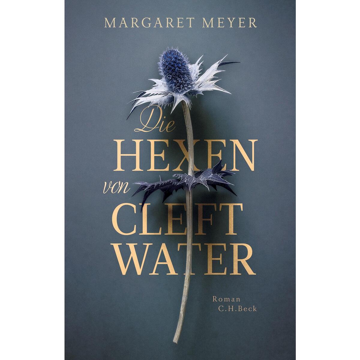 Die Hexen von Cleftwater von C.H. Beck