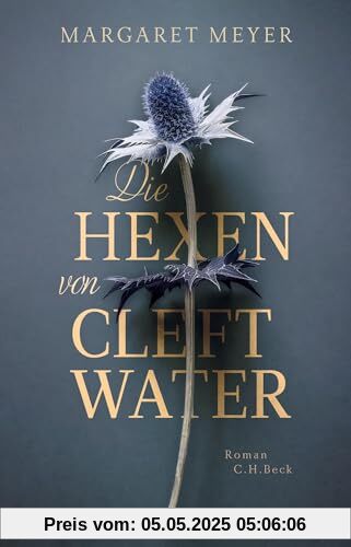 Die Hexen von Cleftwater: Roman