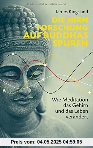 Die Hirnforschung auf Buddhas Spuren: Wie Meditation das Gehirn und das Leben verändert