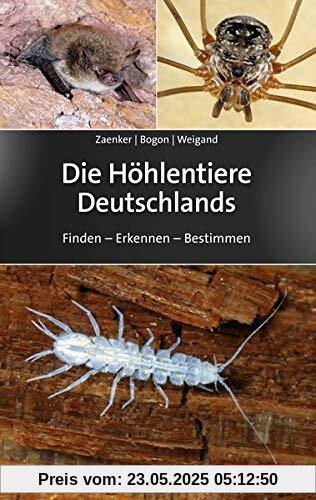 Die Höhlentiere Deutschlands: Finden – Erkennen – Bestimmen Die Höhlentiere Deutschlands: Finden – Erkennen – Bestimmen