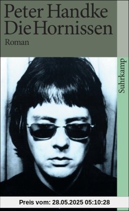 Die Hornissen: Roman (suhrkamp taschenbuch)