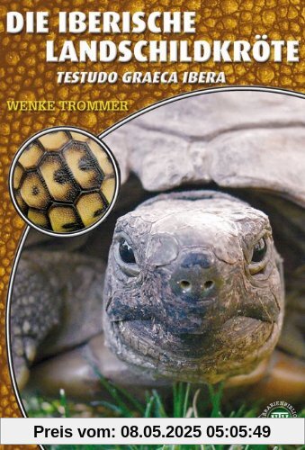 Die Iberische Landschildkröte: Testudo graeca ibera Die Iberische Landschildkröte: Testudo graeca ibera