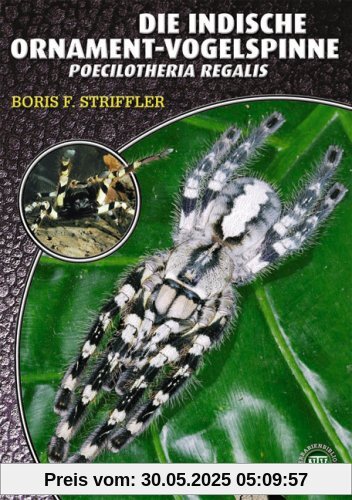 Die Indische Ornament-Vogelspinne: Poecilotheria Regalis. Art für Art Die Indische Ornament-Vogelspinne: Poecilotheria Regalis. Art für Art