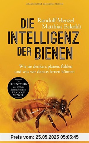 Die Intelligenz der Bienen: Wie sie denken, planen, fühlen und was wir daraus lernen können