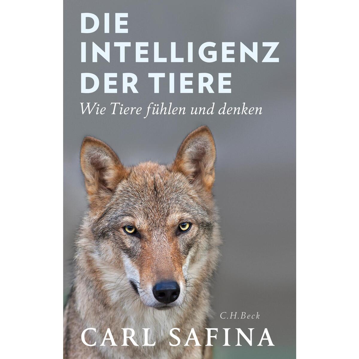 Die Intelligenz der Tiere von C.H. Beck