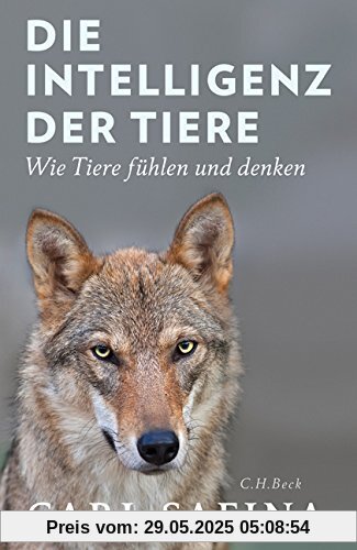 Die Intelligenz der Tiere: Wie Tiere fühlen und denken