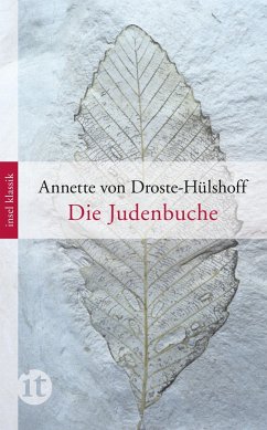 Die Judenbuche von Insel Verlag