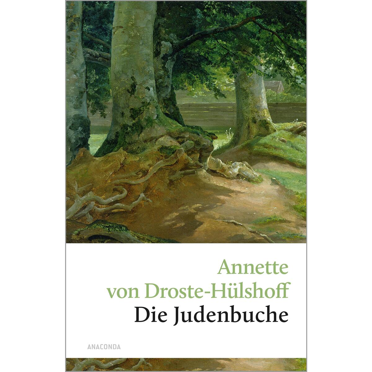 Die Judenbuche Die Judenbuche von Anaconda Verlag