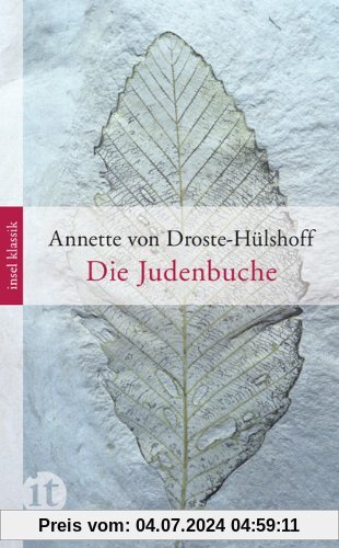 Die Judenbuche: Ein Sittengemälde aus dem gebirgichten Westfalen (insel taschenbuch)