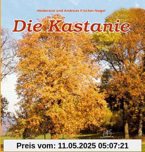 Die Kastanie