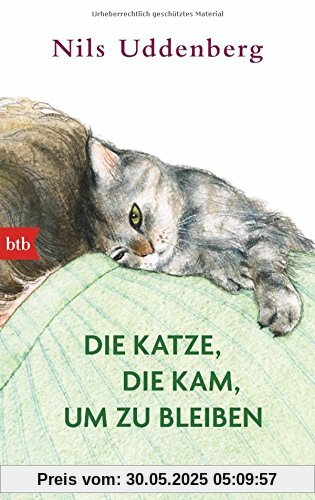 Die Katze, die kam, um zu bleiben