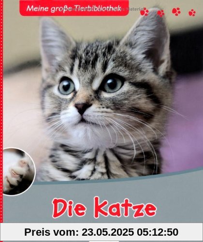 Die Katze