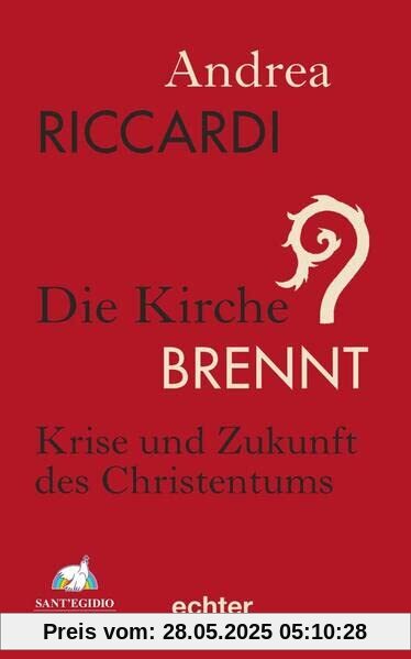 Die Kirche brennt: Krise und Zukunft des Christentums