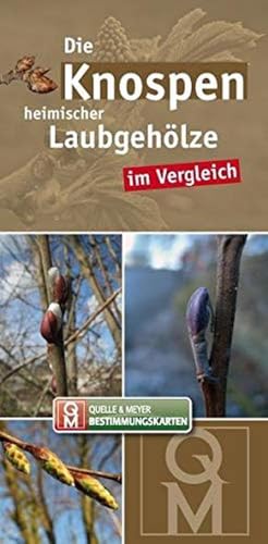 Die Knospen heimischer Laubgehölze im Vergleich (Quelle & Meyer Bestimmungskarten) von Quelle & Meyer